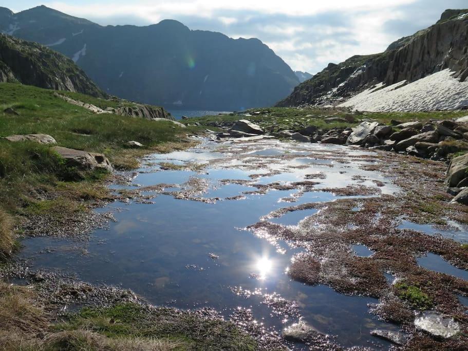"Le Desman" Confortable T2 A La Montagne Face Aux Thermes Rando, Cure Aulus-les-Bains Buitenkant foto