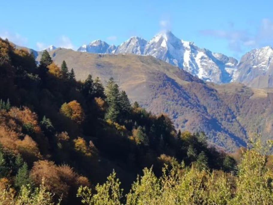 "Le Desman" Confortable T2 A La Montagne Face Aux Thermes Rando, Cure Aulus-les-Bains Buitenkant foto