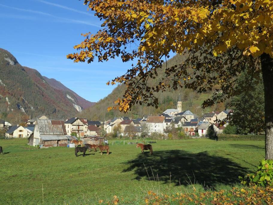 "Le Desman" Confortable T2 A La Montagne Face Aux Thermes Rando, Cure Aulus-les-Bains Buitenkant foto